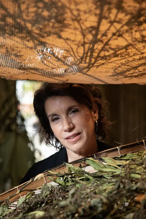 Mercedes Lachmann