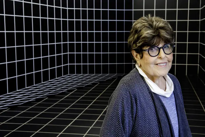 Regina Silveira