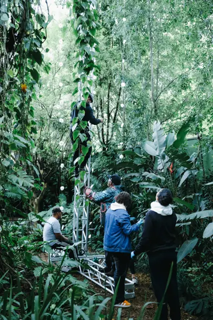 Montagem: equipe trabalhando no jardim da casa